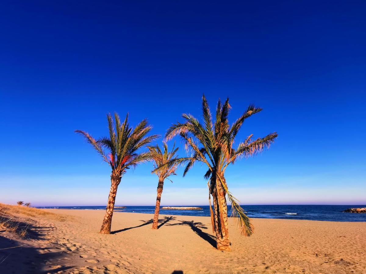 Cap De Mer - Vue Sur Mer - Une Chambre - Une Terrasse - Acces Direct Plage - Commerces A Proximites 乐巴凯尔斯 外观 照片